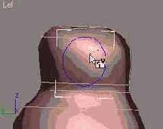     NURBS-
